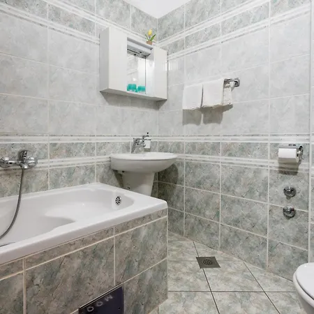 Obradovic Guest house 3*