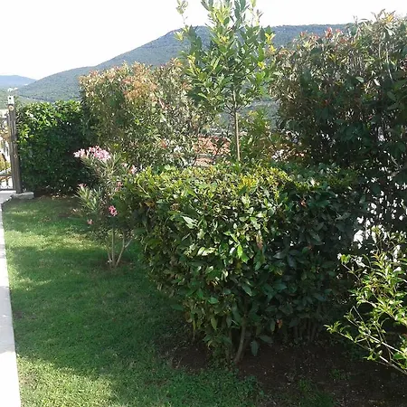 Maison d'hôtes Obradovic Neum
